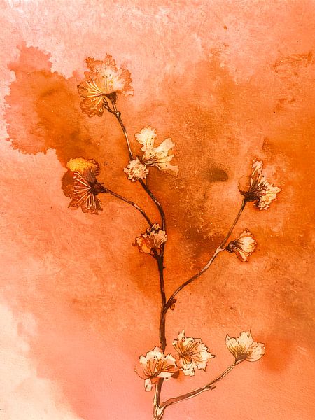 Romantic Blossom Aquarell in Koralle, Lachsrosa und Terrakotta von Studio Pieternel