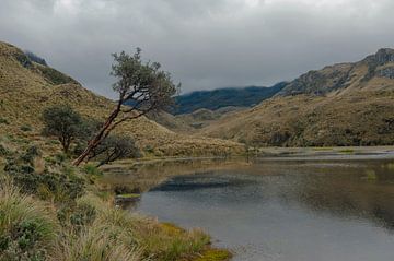 Parque Nacional El Cajas Ecuador by Richard Wareham