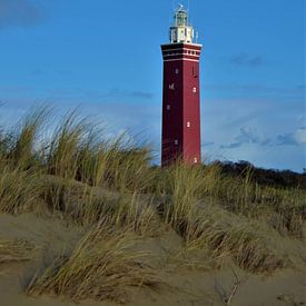 Leuchtturm bei Ouddorp an der Nordsee von Patricia Fotografie