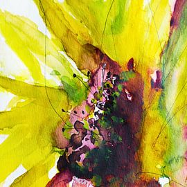 Der Sommer naht – mit der Sonnenblume