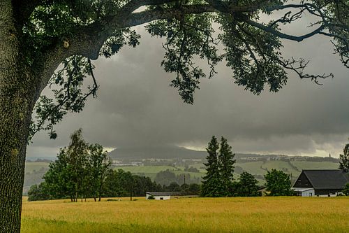 Onderweg in de natuur