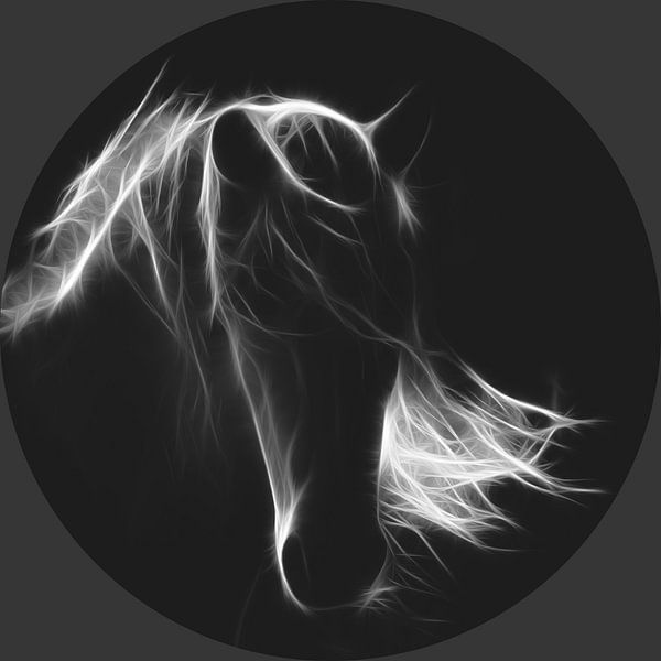 Pferd mit langer Mähne von @Unique