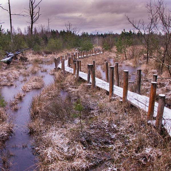 Plankpad von Hein van Mulligen