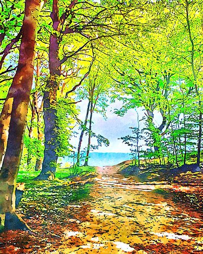 Jasmund National Park, Motif 1