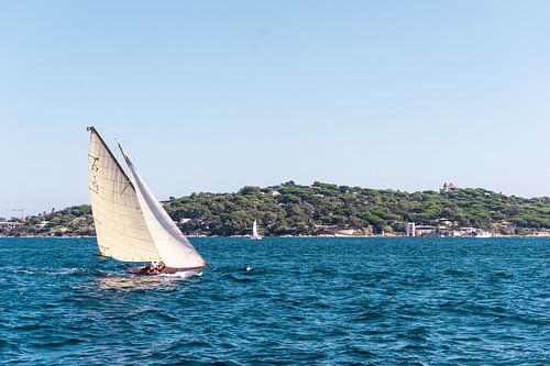 Weißes klassisches Segelboot während der Segelregatta
