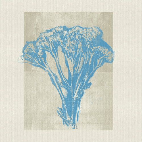 Japandi. Neutrale botanische kleur in blauw, grijs en beige