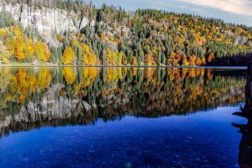 Herfstkleuren aan een meer in het Zwarte Woud