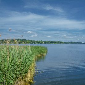 Dieksee avec vue sur Malente, parc naturel Holsteinische Schweiz sur Peter Eckert
