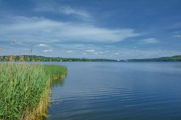 Dieksee mit Blick auf Malente,Naturpark Holsteinische Schweiz von Peter Eckert