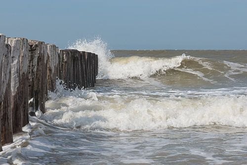 Vagues se brisant sur les brise-lames de Cadzand, en Zélande.