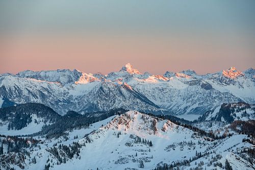 Hoge vogel in de winter bij zonsondergang