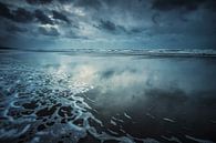 Blue by Bob Daalder thumbnail