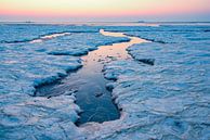 IJs- en zeelandschap op het wad in de Waddenzee van Sjoerd van der Wal Fotografie thumbnail