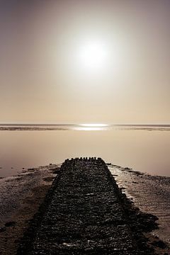 Steiger richting het wad op Vlieland - natuurfotografie print van Laurie Karine van Dam