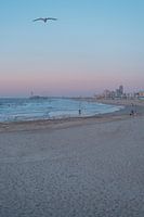 Surfer's Paradise tijdens Sunset