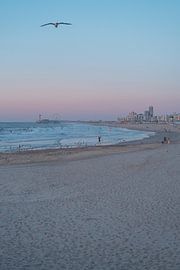 Surfer's Paradise tijdens Sunset van Robin Cox