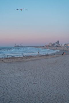 Surfer's Paradise tijdens Sunset