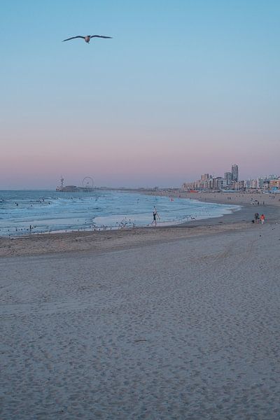 Surfer&#039;s Paradies bei Sonnenuntergang von Robin Cox