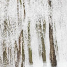 Abstrait d'hiver dans la forêt sur Ingrid Van Damme fotografie