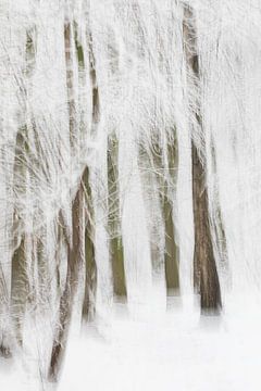 Winter abstract in het bos