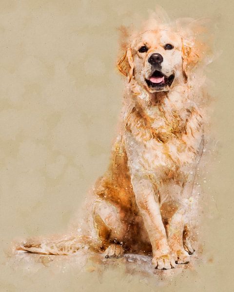 Golden Retriever van Pictura Designs