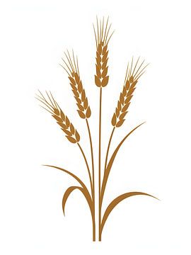 Enveloppe de blé sur Giandra Safaraz