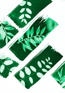 Groene natuur & lijnen