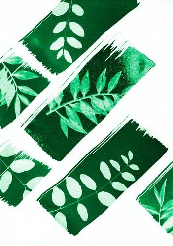 Groene natuur &amp; lijnen