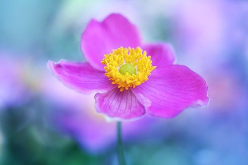 In the spotlight....