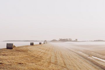 nebliger Morgen von Merle Boogert