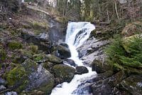 Imposante en prachtige Triberg watervallen in het Zwarte Woud