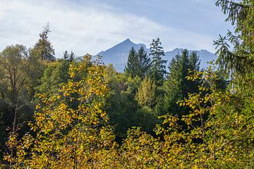 Herbstlicher Wald mit Wettersteingebirge und Schmölzersee von Torsten Krüger