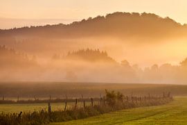Sauerland Landschaft von Frank Peters
