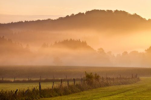 Sauerland Landscape