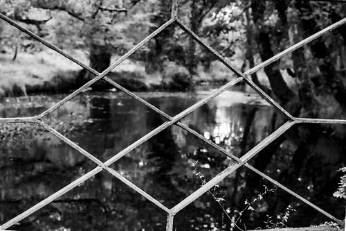 Durchsichtige von Ed van der Hilst