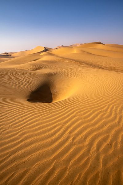 Rub al Khail Desert Abu Dhabi von Achim Thomae