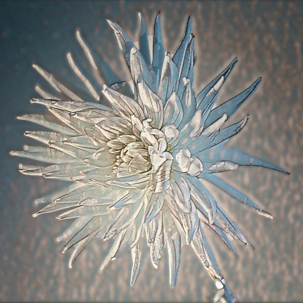 Loose Dahlia groß in abstraktem Blau und Weiß von Marly De Kok