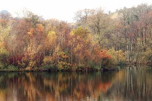 Bunte Insel