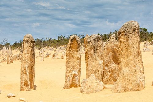 Pinnacles West Australië