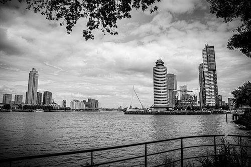 Skyline Rotterdam
