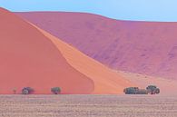 Kleurrijk Namibië van Babs Boelens thumbnail