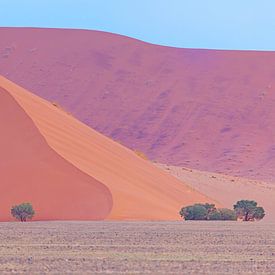 Kleurrijk Namibië van Babs Boelens