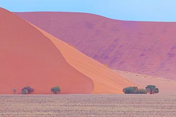 Kleurrijk Namibië van Babs Boelens
