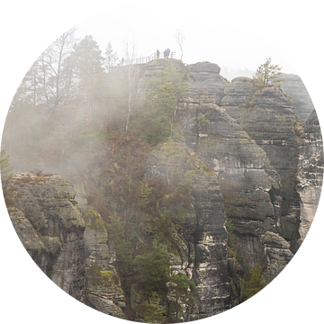 Zandsteenrotsen in het Nationaal Park Nebel-Saksisch Zwitserland van Holger Spieker