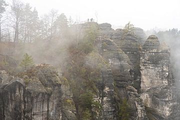 Zandsteenrotsen in het Nationaal Park Nebel-Saksisch Zwitserland van Holger Spieker