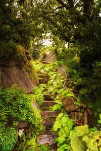 Escaliers en vert sur Coen Weesjes