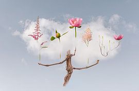 Cloud-Carry me by Hannie Kassenaar