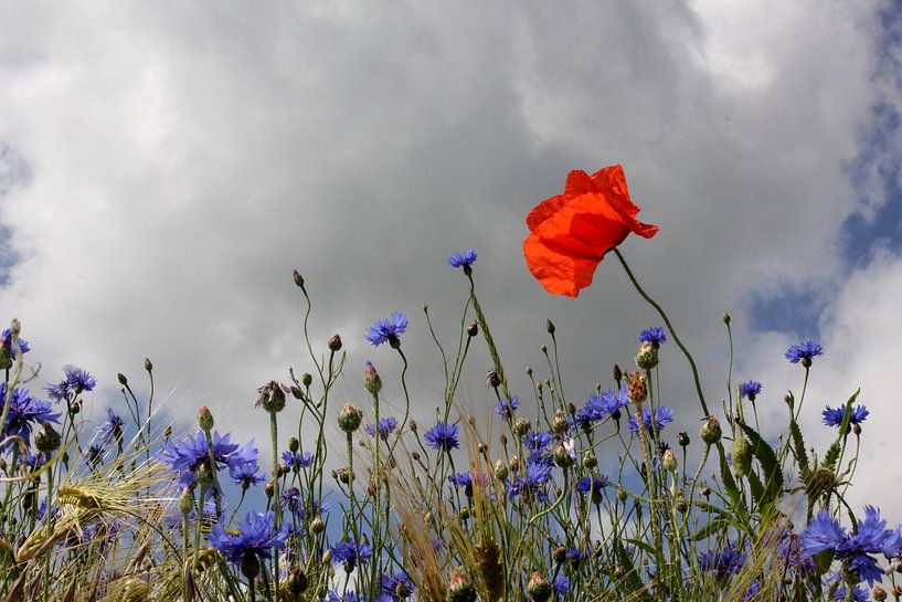 Summertime by Ostsee Bilder