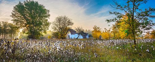 Zonsopkomst boven katoenbollen in de herfst, Hongarije
