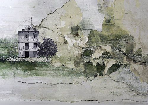 PORTUGAL MUURLANDSCHAP 02